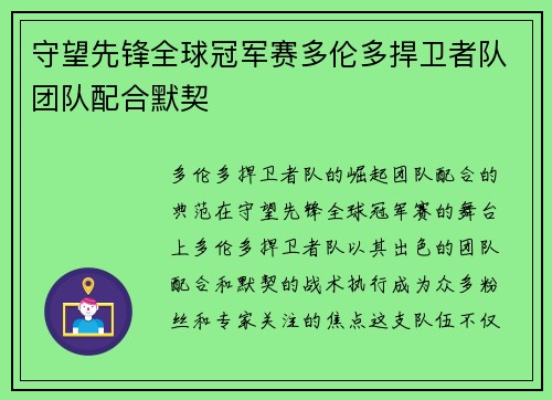 守望先锋全球冠军赛多伦多捍卫者队团队配合默契 守望先锋全球冠军赛多伦多捍卫者队团队配合默契