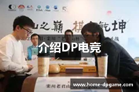 介绍DP电竞